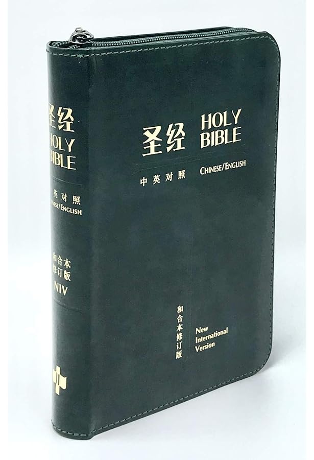 Amazon.com: Simplified Chinese English Zipper Bible-RCUV-NIV 中英